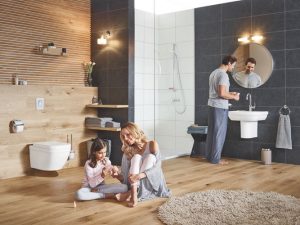 Сиденье с крышкой для унитаза Grohe Euro 39330000