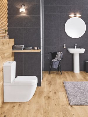 Сиденье с крышкой для унитаза Grohe Euro 39330000